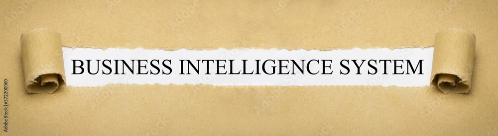 Business Intelligence System Business Intelligence System