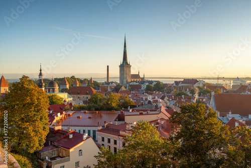 Tallinn city wall and St. Olaf's Church top view