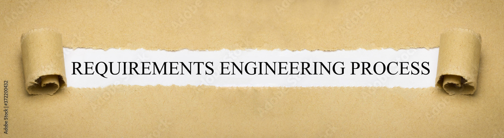 Requirements Engineering Process Requirements Engineering Process