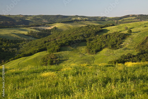 Landscape near Volterra, Province of Siena, Tuscany, Italy, Europe 