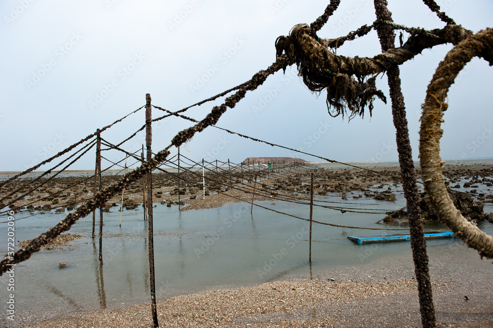 The landscape of seashore and fishing gear.