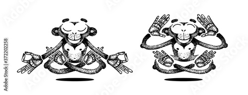 Two monkeys meditating, levitates and sits in lotus position, practice yoga. Vector hand made illustration. Sketch for poster, print, t-shirt, tattoo.