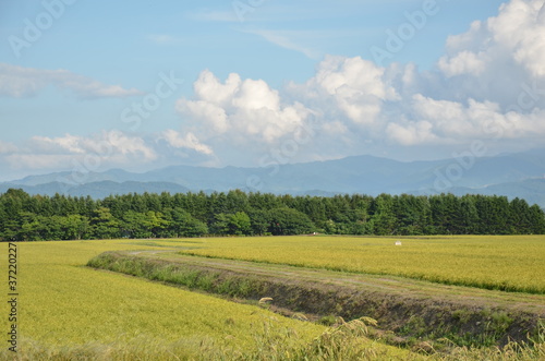 北海道の農業