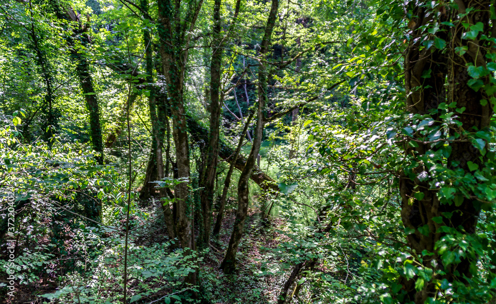 Fototapeta premium Vista lungo la via delle cascate perdute a Sarnano nelle Marche