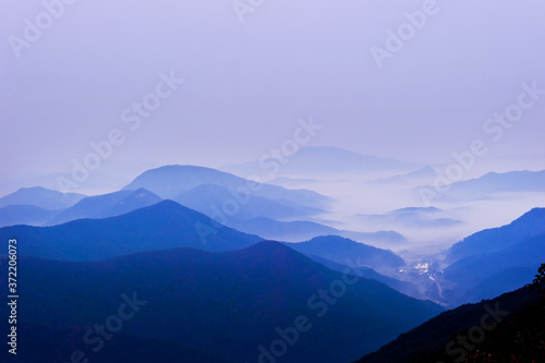 Fototapeta Naklejka Na Ścianę i Meble -  The dreaming blue mountainscape  with misty and foggy at dawn.
