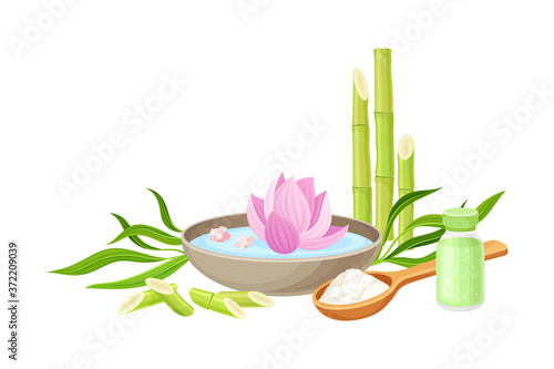 Spa Treatment with Bamboo and Aromatic Bath Salt Vector Composition