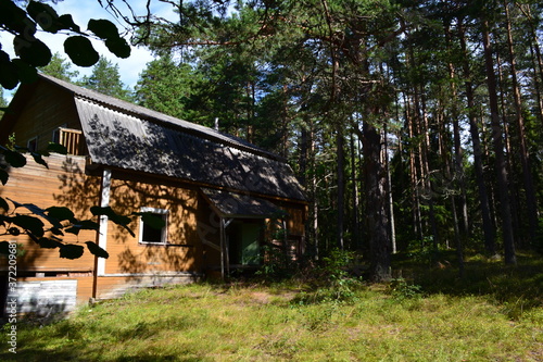 an old house in the Northern pine forest on a summer day in August