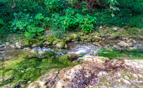 Ruscello lungo la via delle cascate perdute a Sarnano