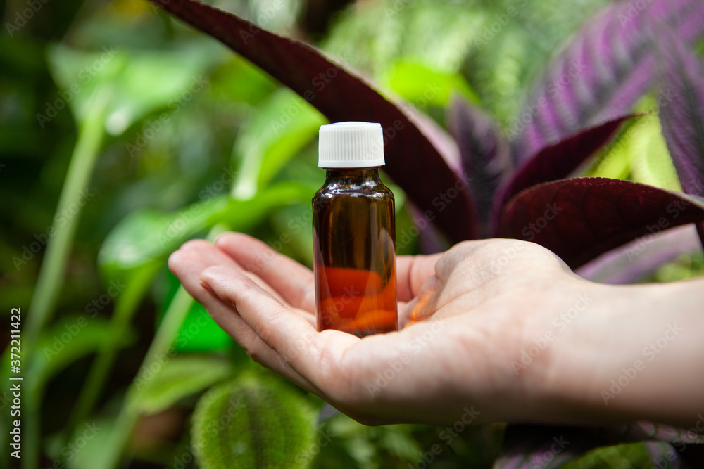 Aromatherapy. Essential oils in small bottles near fresh herbs Aromatherapy. Essential oils in small bottles near fresh herbs