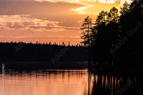 Fairytale mystical foggy forest, fantastic sunset on the lake, dark pine wood reflecting in the calm water.