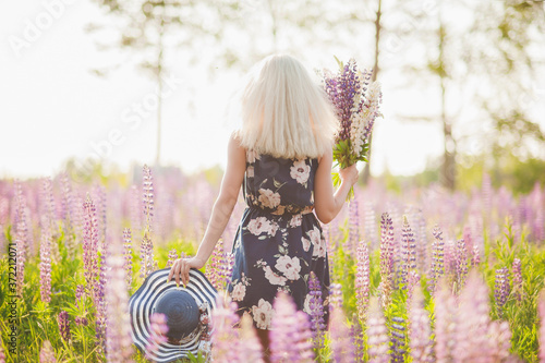 A beautiful young woman stands in a blue dress in the middle of a field of lupines and holds her hat.A girl in a summer field of lupins in nature. Field with lupins.