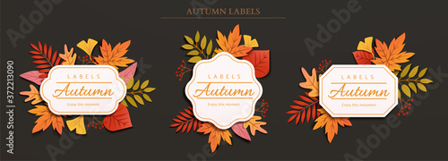 Autumn foliage label design photo