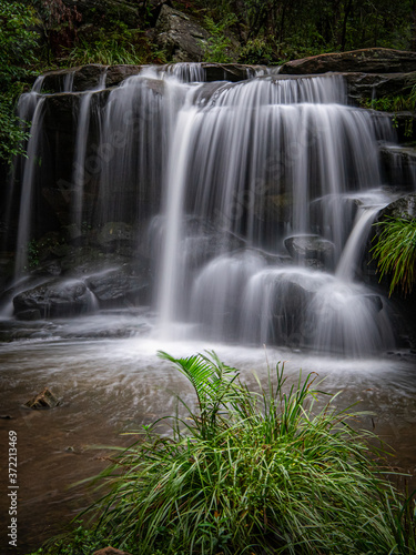 waterfall in the forest