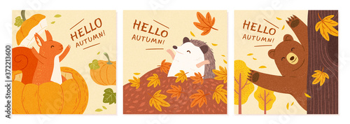 Autumn square banner set