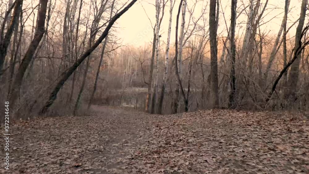 Handheld follow shot of someone walking on the trail covered completely in beautiful autumn leaves surrounded by naked trees at Hyland Lake Park, Bloomington, MN. Handheld follow shot of someone walking on the trail covered completely in beautiful autumn leaves surrounded by naked trees at Hyland Lake Park, Bloomington, MN.
