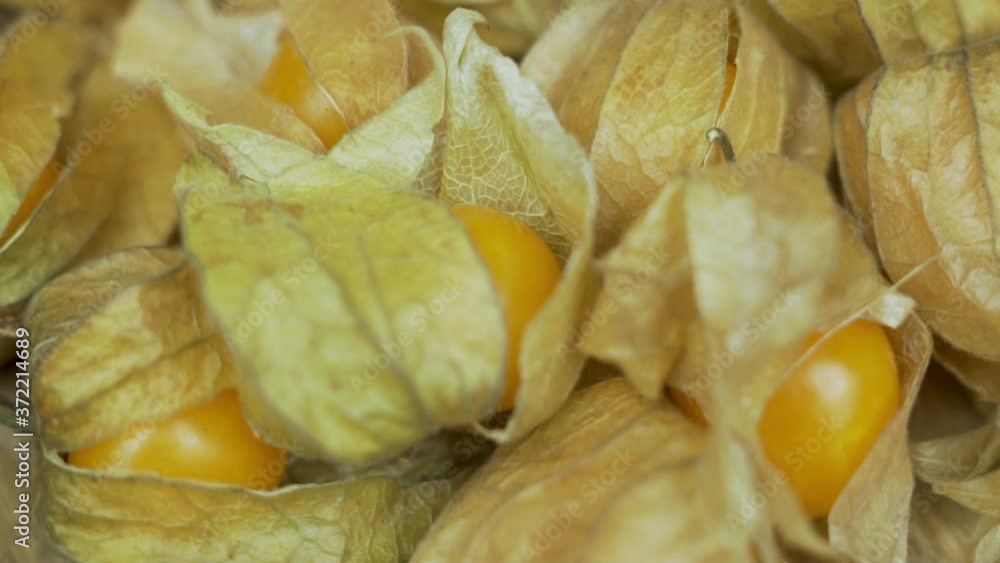 Yellow Fresh Fruits Of Physalis. Rotation. Physalis Fruit Vegetable Berry Close-up. Concept of Healthy Natural Vegetarian Food and Vegan Diet. Yellow Fresh Fruits Of Physalis. Rotation. Physalis Fruit Vegetable Berry Close-up. Concept of Healthy Natural Vegetarian Food and Vegan Diet.