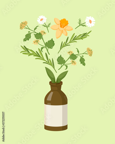 Herbal homeopathic collection. Organic treatment brown bottle with oil extracts chamomile and celandine herbs homeopathic natural flat healing from diseases power vector colored plants.
