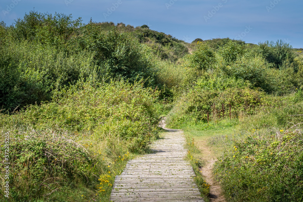 Boardwalk path through sand dunes near Crow Point, North Devon, UK.