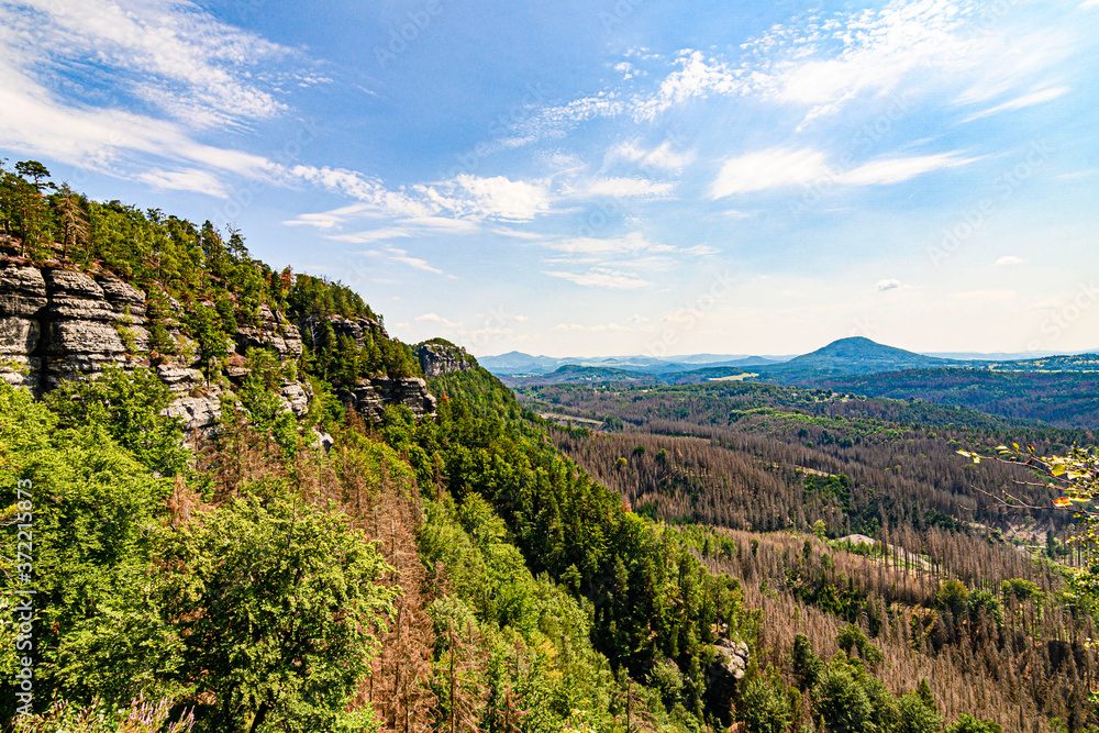 Fototapeta premium Saxon Switzerland National Park bohemian switzerland 