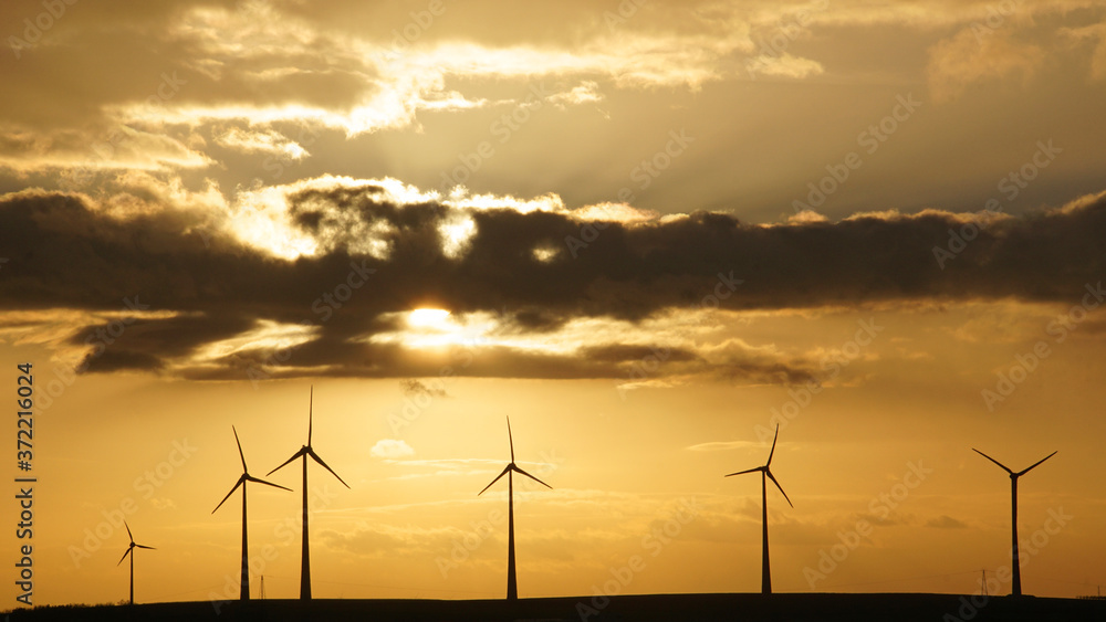 Obraz premium Windkraft am Horizont