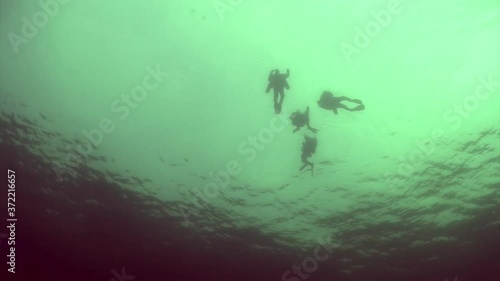 Wallpaper Mural Researcher traveler diver on underwater bottom of Lake Baikal in Siberia Of Russia. Torontodigital.ca