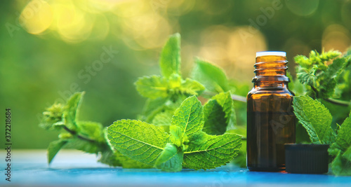 Schilderij op canvas Peppermint essential oil in a small bottle. Selective focus.