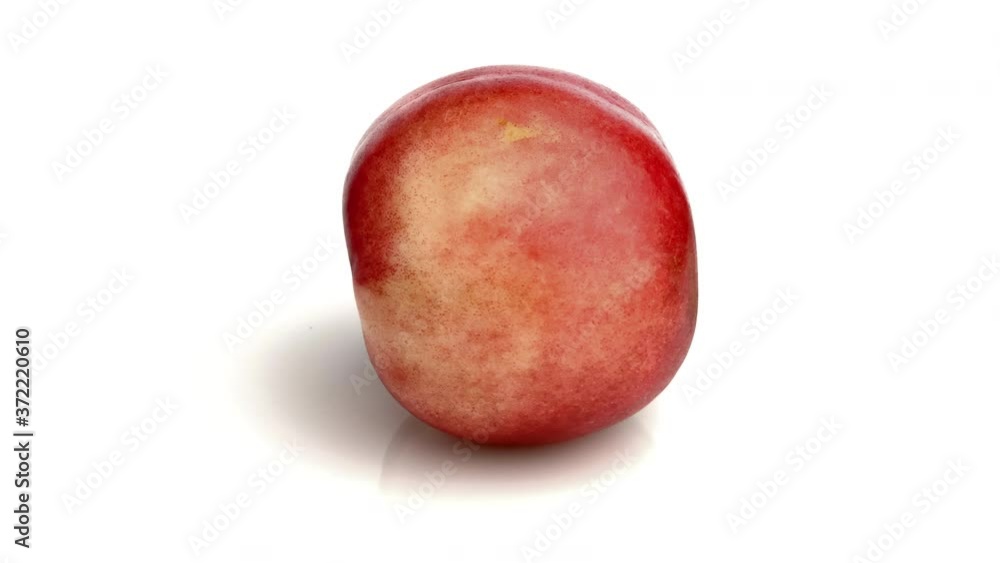 white nectarine isolated on white white nectarine isolated on white