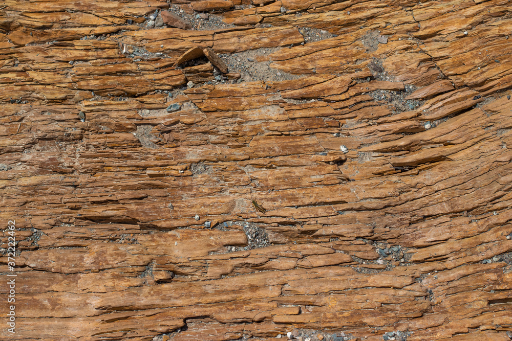 Naklejka premium The stone rock is brown slate. Natural texture in natural light.