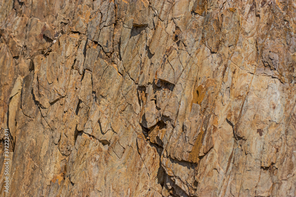 The stone rock is brown slate. Natural texture in natural light. The stone rock is brown slate. Natural texture in natural light.