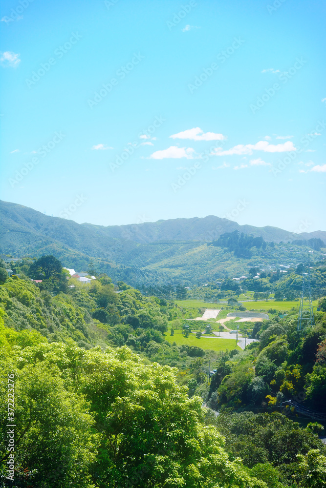 Fototapeta premium Green valley basking in sunlight on a warm spring day. Wellington, New Zealand.