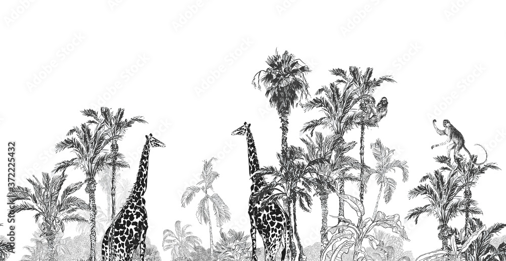 custom made wallpaper toronto digitalPanorama View Giraffe in Jungle Trees, Palms Wildlife Etching Black and White Seamless Border Back Drop Toile