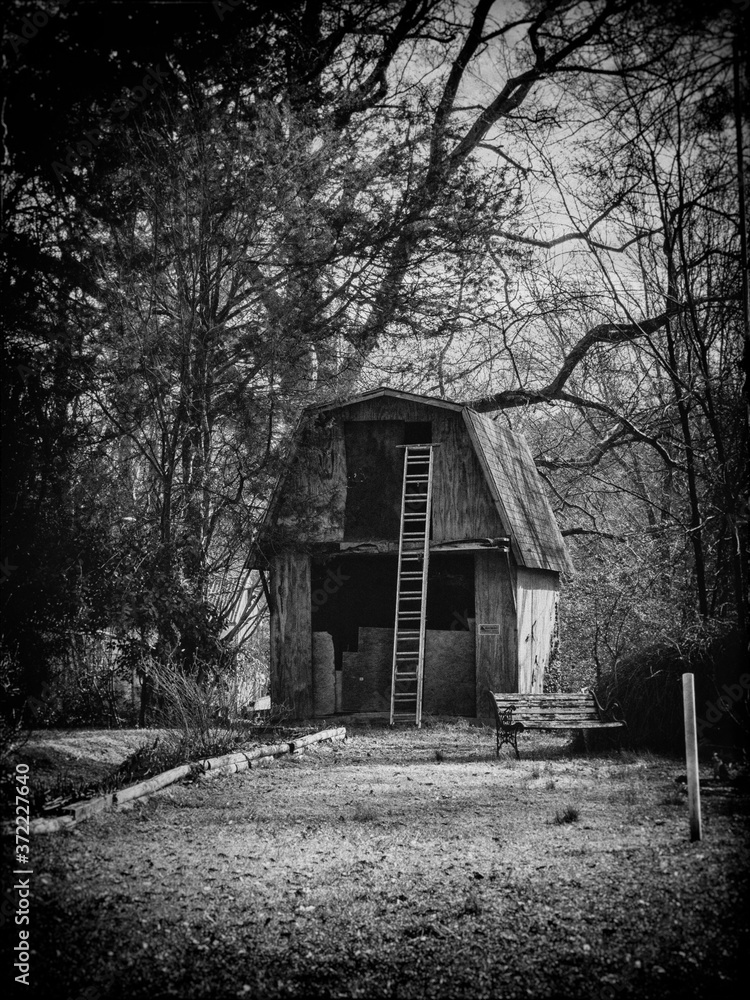 Obraz premium viejo granero