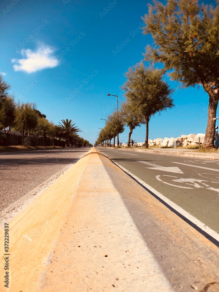 road in the autumn