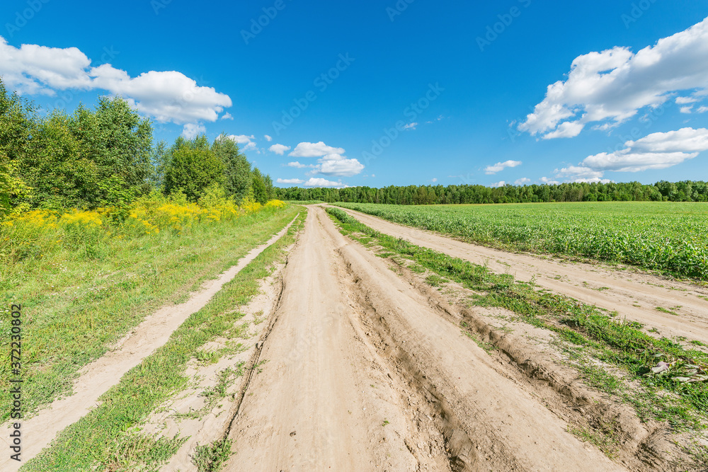 Road by the field at summer day time.