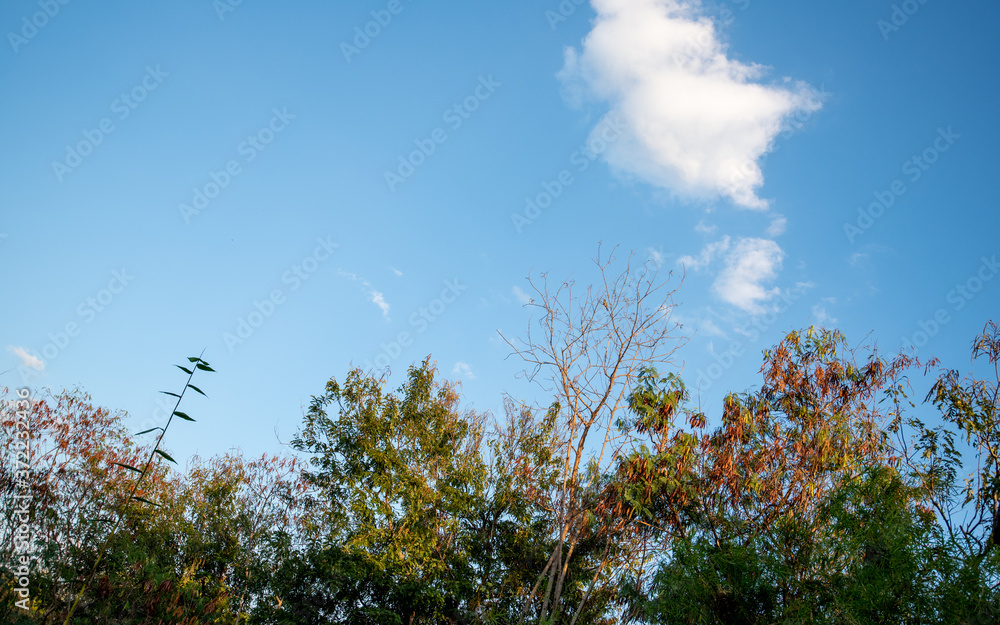 Obraz premium Panoramic beautiful, clear blue sky background, clouds with background.