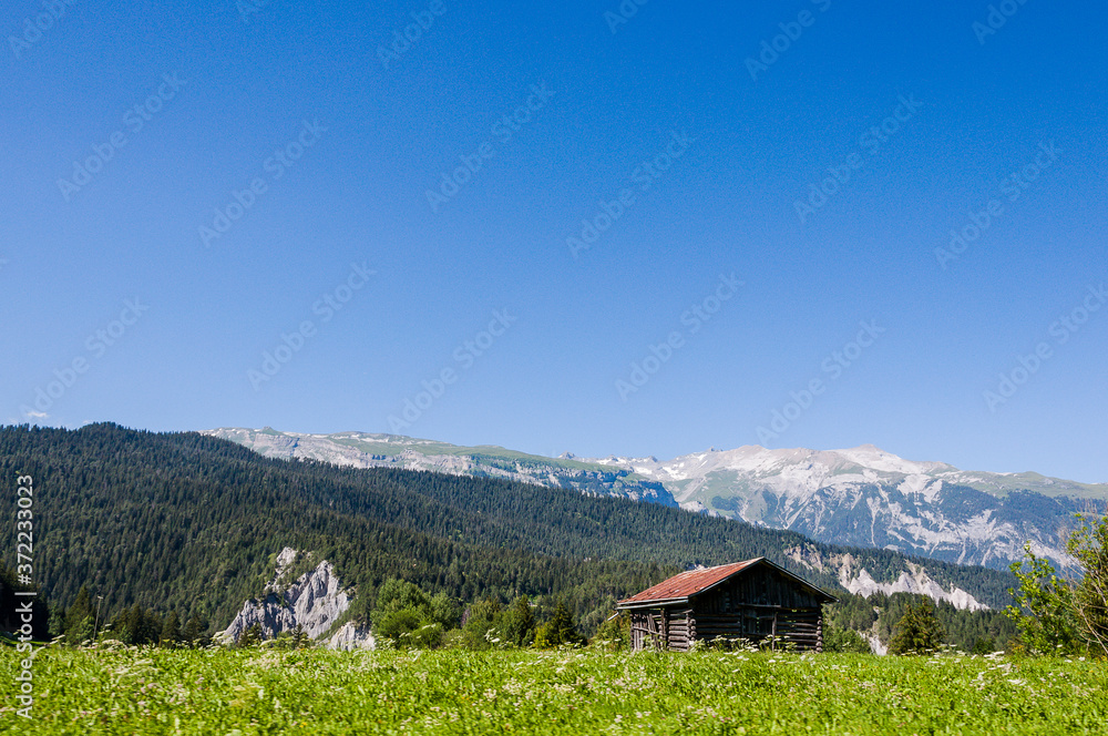 Rheinschlucht, Rhein, Ruinaulta, Fluss, Schlucht, Ilanz, Reichenau, Vorderrhein, Flussbett, Surselva, Wanderweg, Bergstrasse, Graubünden, Sommer, Alpen, Schweiz Rheinschlucht, Rhein, Ruinaulta, Fluss, Schlucht, Ilanz, Reichenau, Vorderrhein, Flussbett, Surselva, Wanderweg, Bergstrasse, Graubünden, Sommer, Alpen, Schweiz