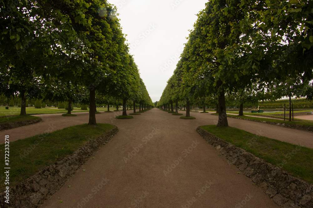 Obraz premium St. Petersburg. Russia. Petersburg architecture. Petersburg parks and museums. Summer in St. Petersburg. Travel across Russia.