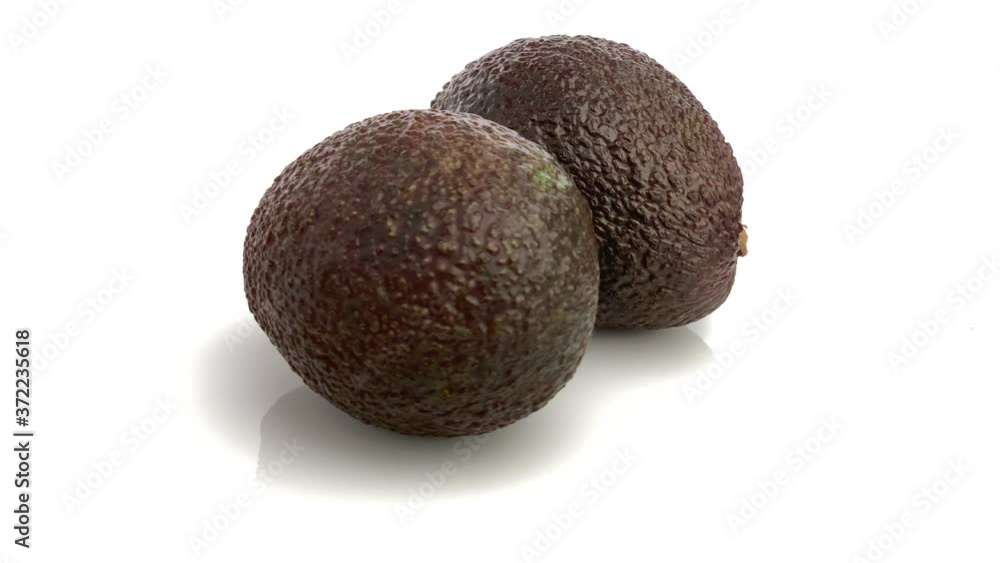 hass avocado isolated on white hass avocado isolated on white