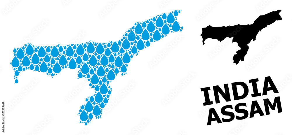 Vector Mosaic Map of Assam State of Liquid Dews and Solid Map