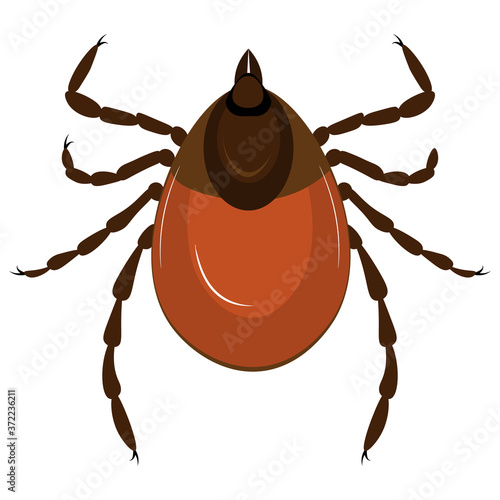 Red tick on a white background. Vector illustration