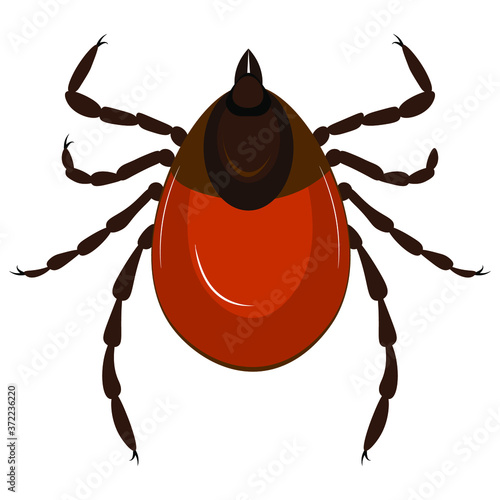 Red tick on a white background. Vector illustration
