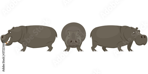 Hippopotamus in different poses. African animal in cartoon style.