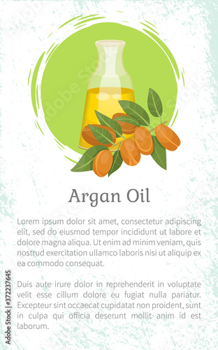Glass bottle contains golden liquid inside. Branch with brown nuts of argania. Text, information about argan oil in vessel. Product used in beauty industry like for hair care. Vector illustration