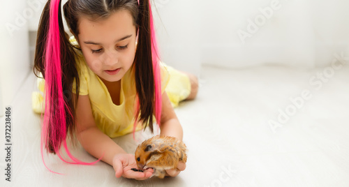 My little pal - girl holding her hamster in palms