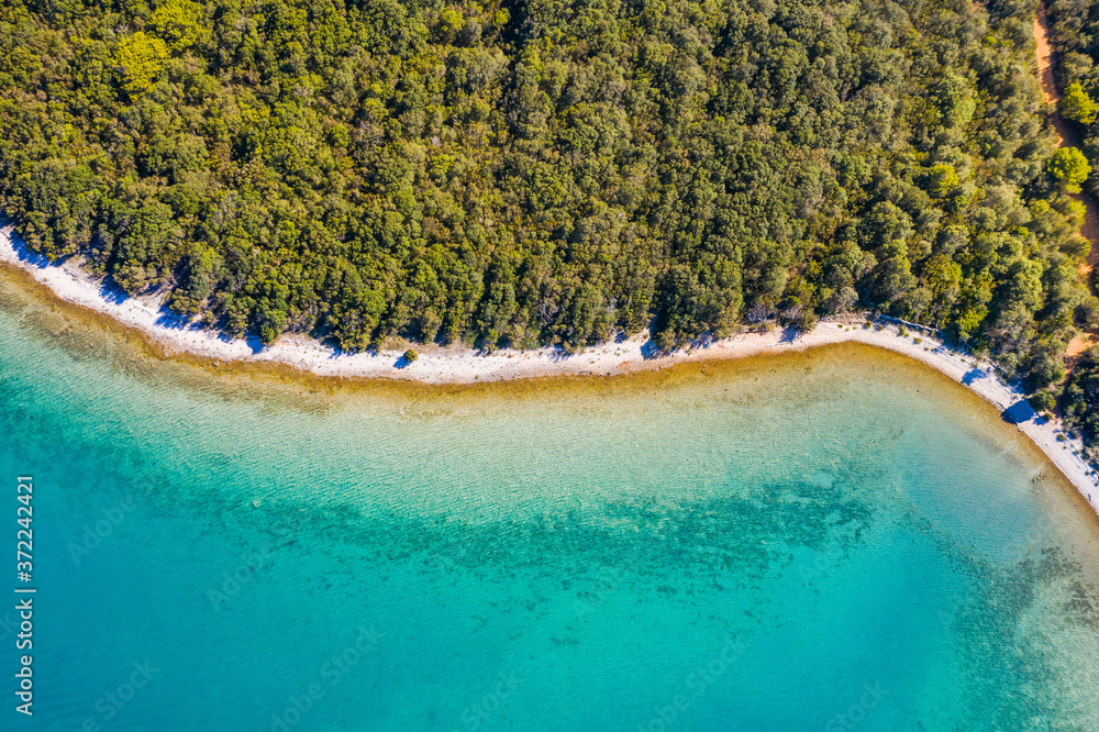 Amazing Adriatic coastline in Croatia, Dugi otok island. Pine woods, long hidden secret beaches and emerald sea surface, touristic paradise. Overhead view from drone.