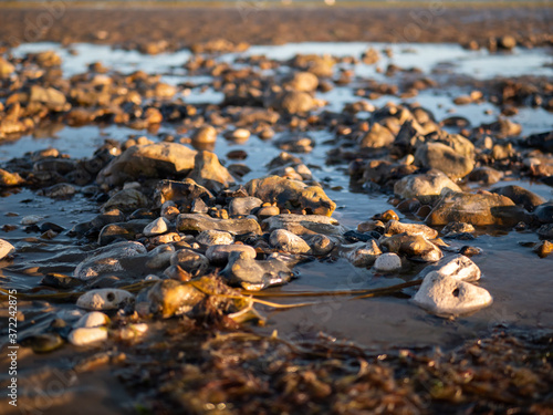 Pebbles on English beach during golden hour 