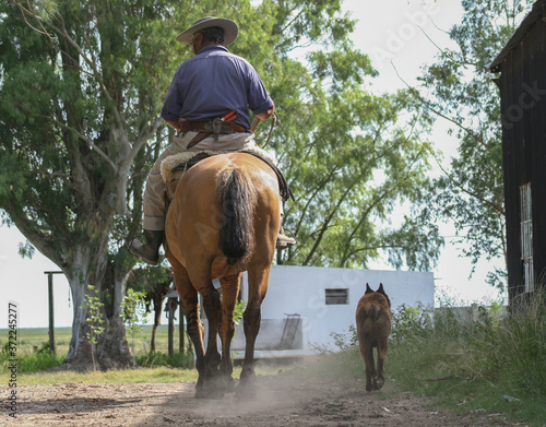 Country man on horseback accompanied by his dog. Argentina. © fernando
