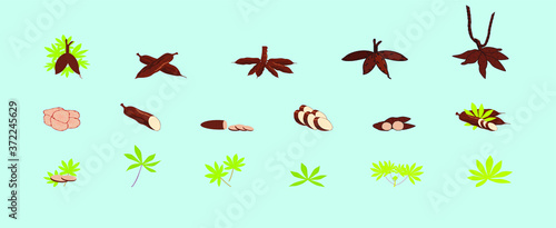 fresh cassava and leaves, raw cassava slices for the tapioca starch industry or the ethanol industry, yucca yucca tubers, raw cassava