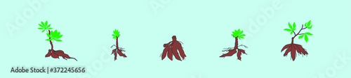 a set of cassava tree plant icon design template with various models. vector illustration