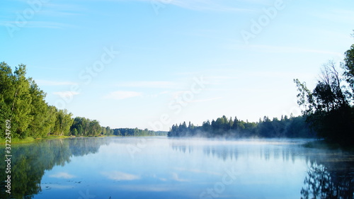 reflection of trees in foggy water